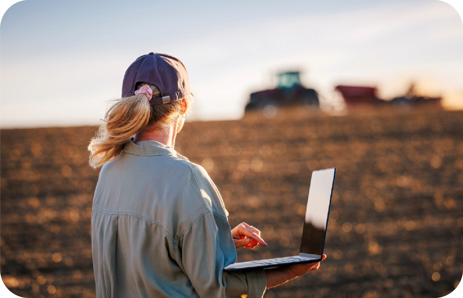 Coopératives agricoles et négoces