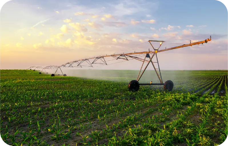 Irrigation intelligente fertilisation