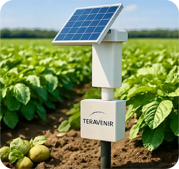 Mesure sonde TERAVENIR