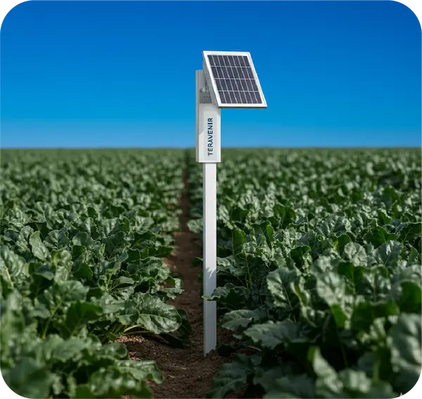 Connectivité Teravenir