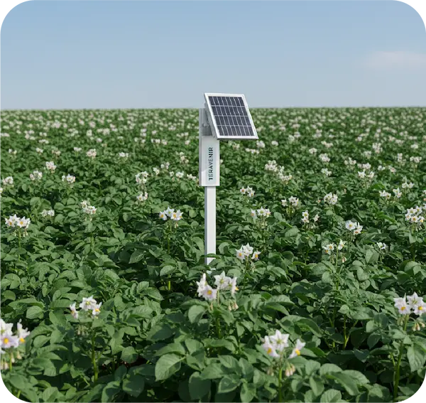 Robustesse sonde Teravenir